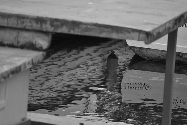 Photo, Urca, Rio de Janeiro